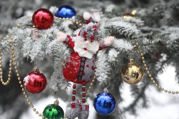 圣诞树图片下载