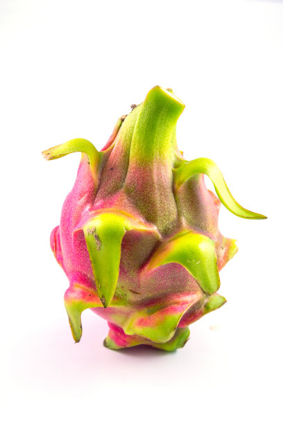 火龙果或火龙果图片下载