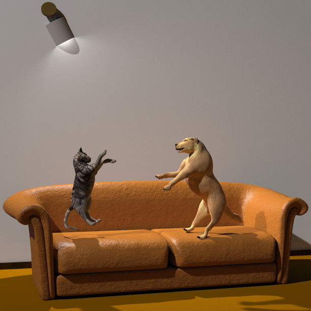 猫和狗的朋友图片下载