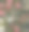 花卉无缝模式素材图片