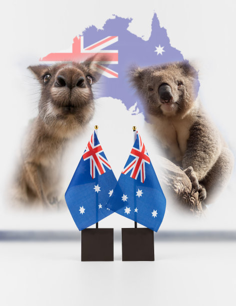 两面澳洲国旗，带地图的考拉和袋鼠图片下载