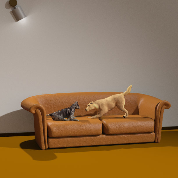 猫和狗图片下载