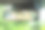 绿色环境中的汽车后视镜图片下载