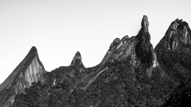 塞拉多斯?的图片下载