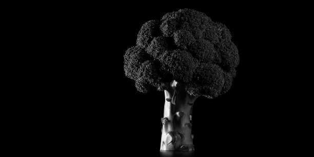 西兰花图片下载