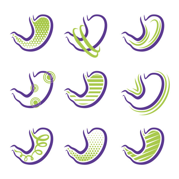 关于胃图片下载