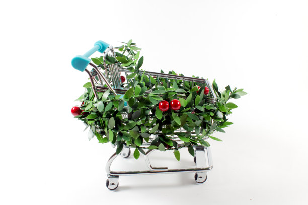 购物车圣诞节图片下载