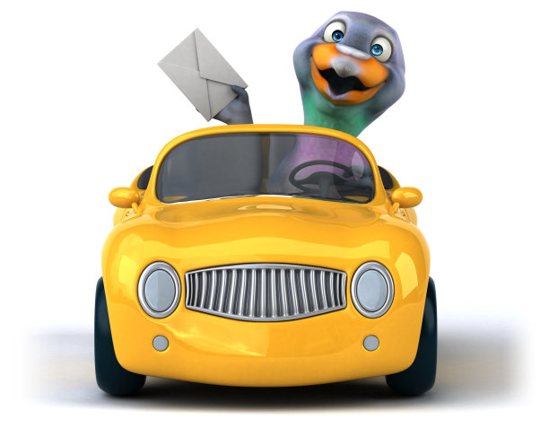 有趣的鸽子图片下载