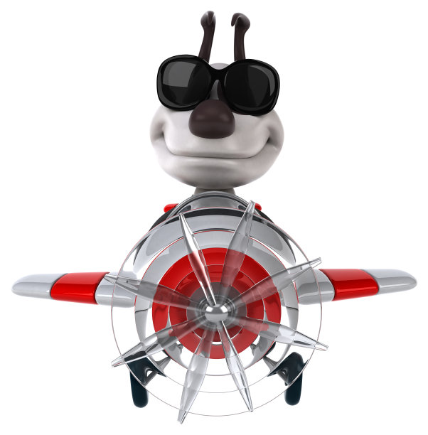 有趣的狗图片下载