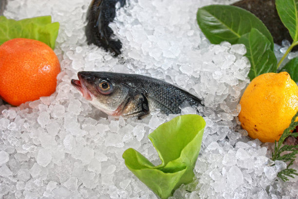 新鲜的鱼图片下载