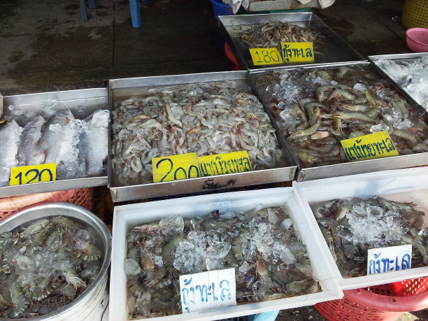 售卖新鲜海鲜图片下载