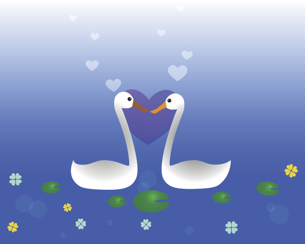 天鹅夫妇图片下载