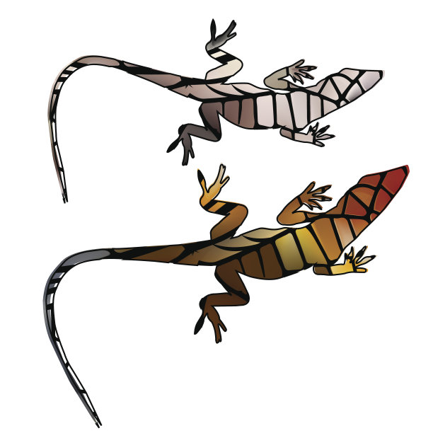 发光的彩色玻璃蜥蜴雕像图片下载