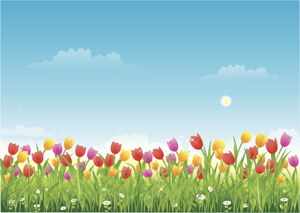 一个花卉草地郁金香的插图图片下载