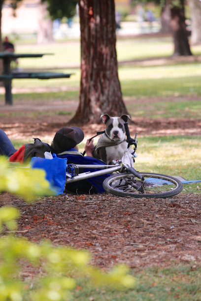 人和狗在公园休息图片下载
