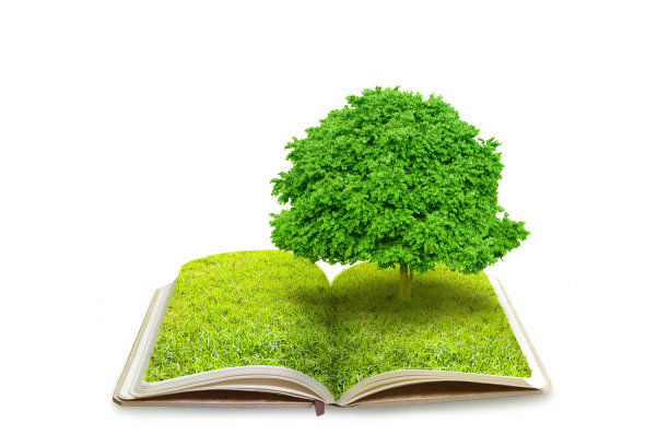 书和树图片下载