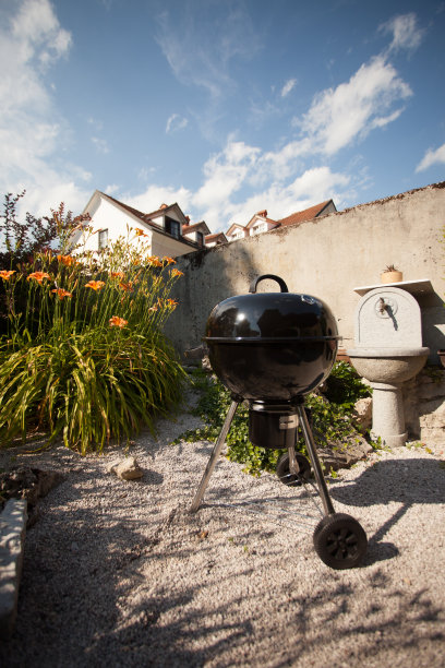 在后院烧烤图片下载