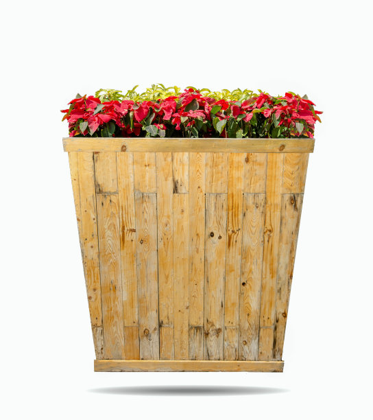 古老的木质讲台，花束孤立在白色背木上图片下载