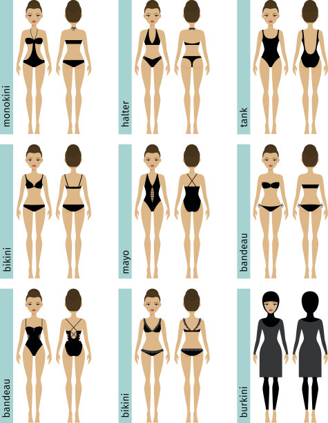 女士泳衣类型矢量插图图片下载
