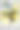 齐柏林伯爵和海雀图片下载