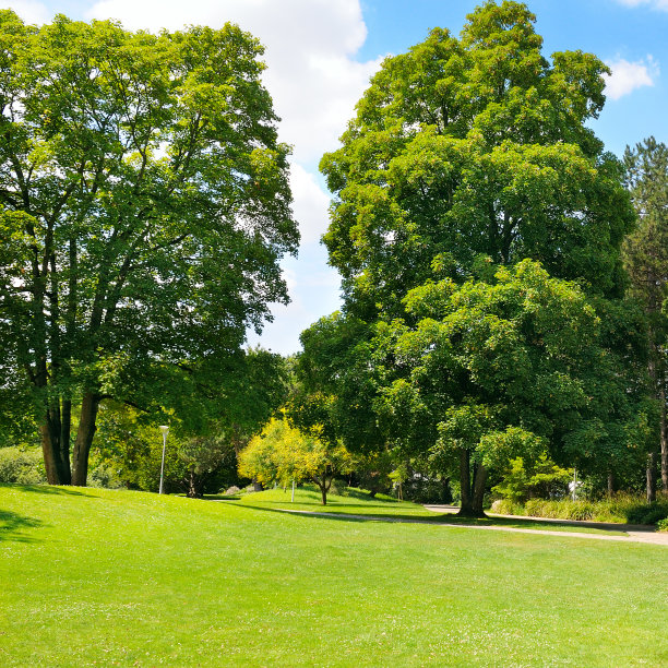 公园、草地和蓝天图片下载