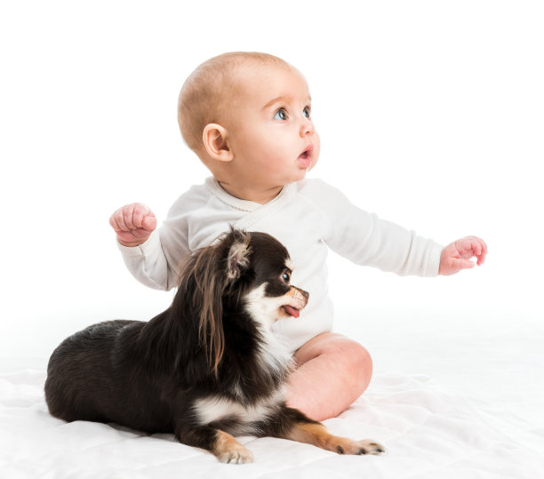 五个月的微笑女孩图片下载