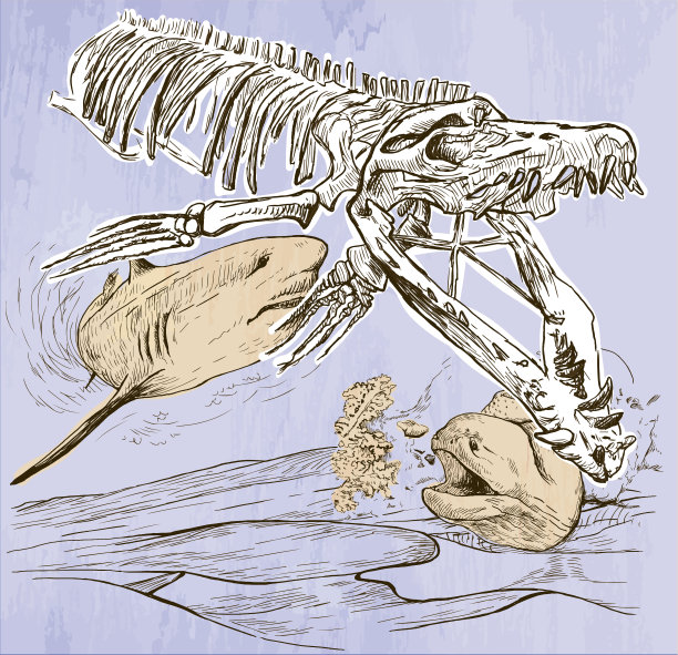 水下史前-手绘矢量图片下载