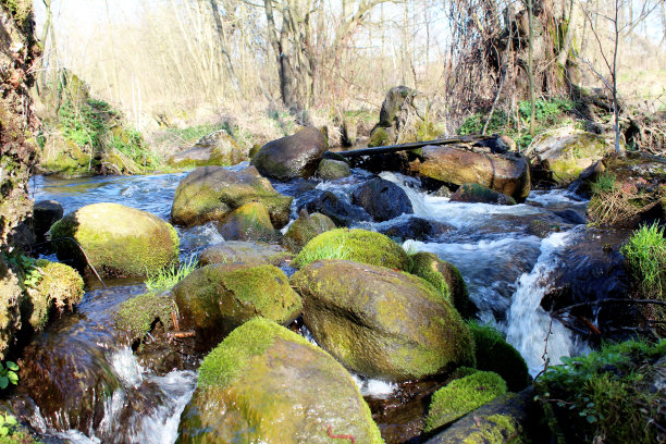 高山流水图片下载