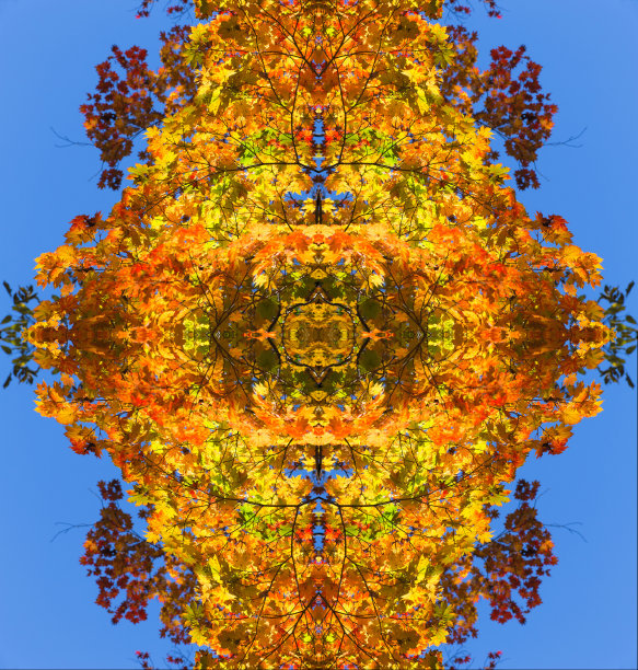 秋天的枫叶，抽象的背景。图片下载