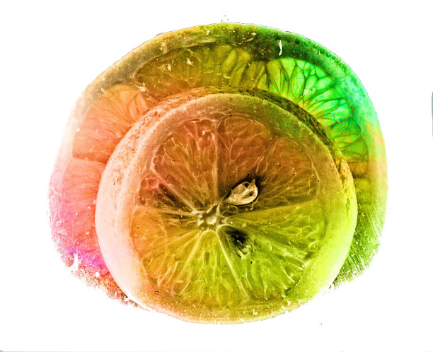 柑橘类水果图片下载