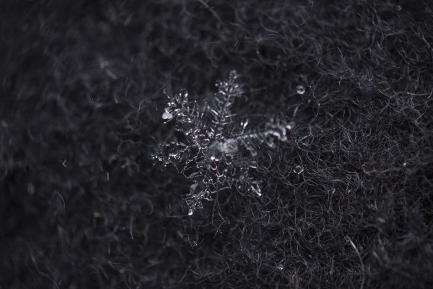 雪花微距拍摄图片下载