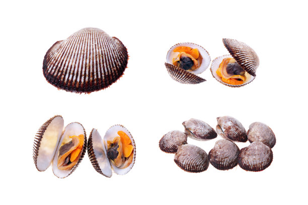 斯卡帕卡亚克雷纳塔图片下载