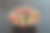台湾牛肉臭豆腐火锅慢煮图片下载