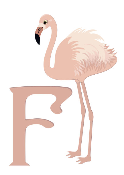 F的火烈鸟图片下载