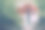 孤独的红色秋天的树在冬天的森林素材图片