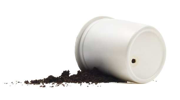 胶囊图片素材ID：123466336