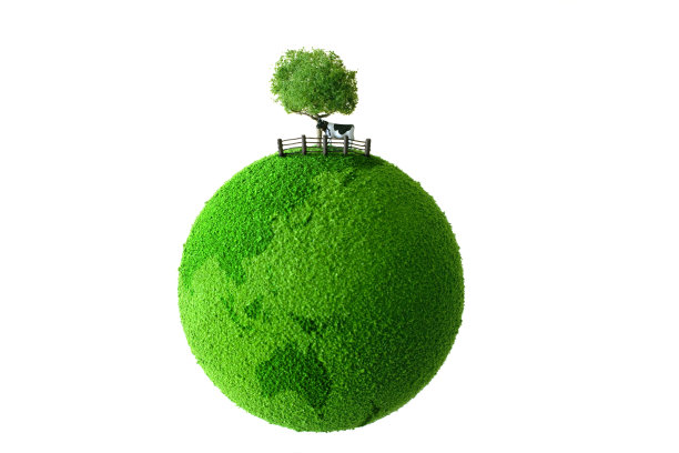 小牛站在绿色的大地上图片下载