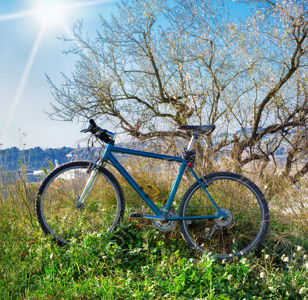 公园里的自行车图片下载