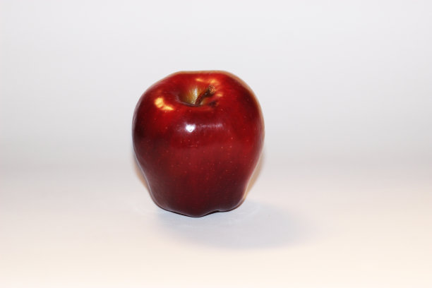 白色背景下的特写镜头图片下载