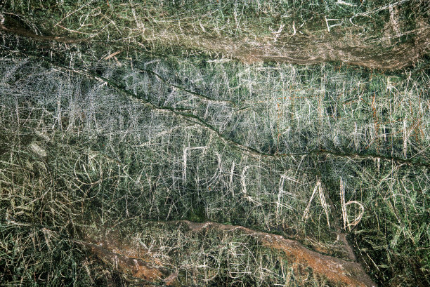 在岩石上作画，泰国图片下载