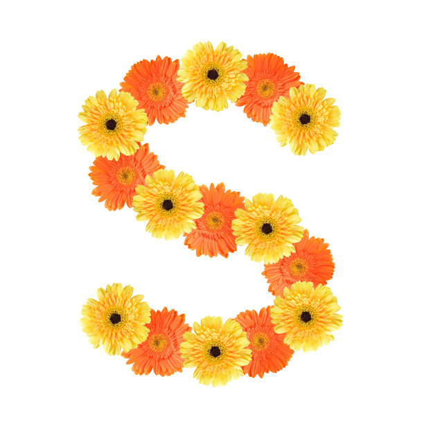 由花创造的字母S图片下载