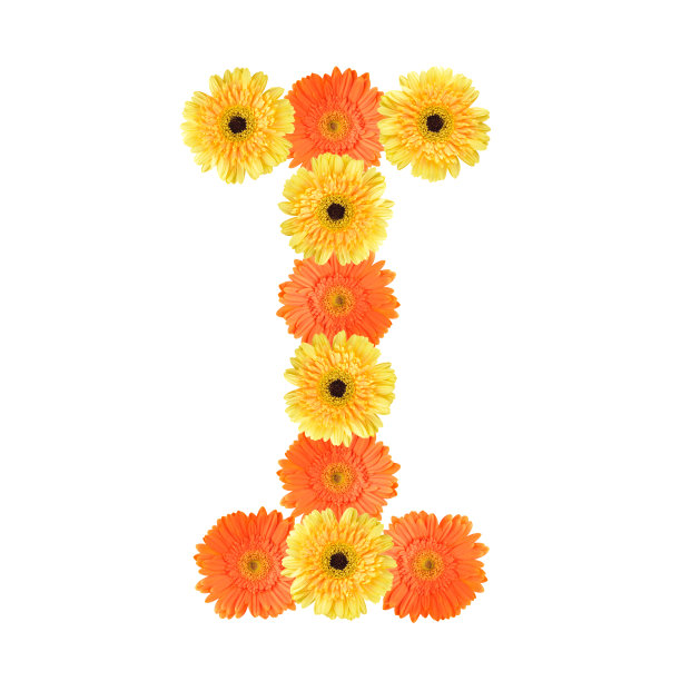 我用花创造的信图片下载