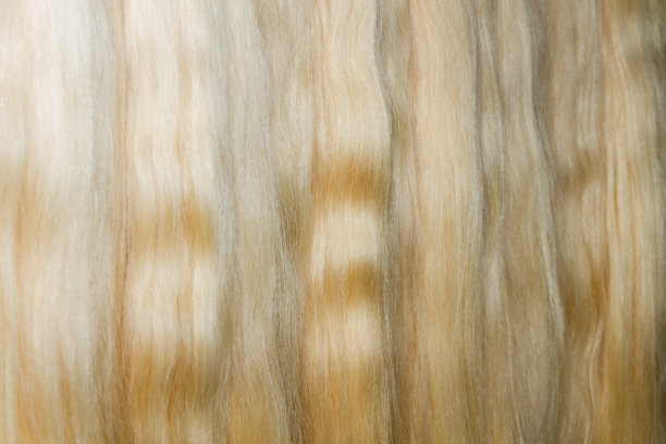 长女人发髻图片下载