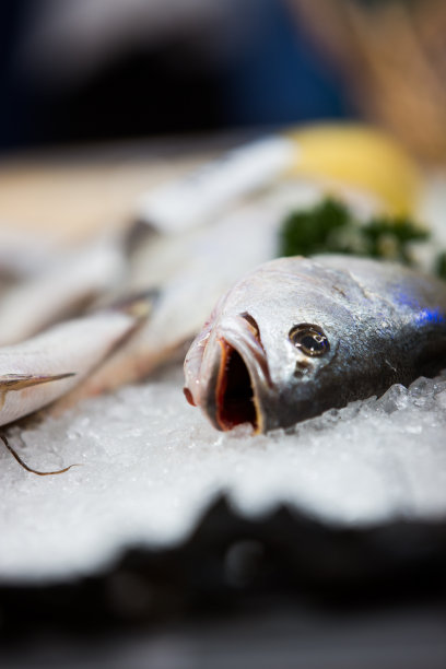 鱼市场图片下载