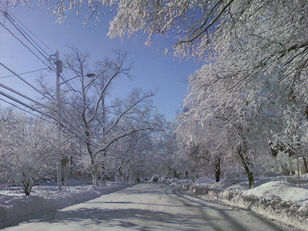 冬季开车图片下载