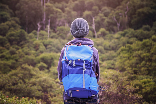 游客们正在看森林图片下载