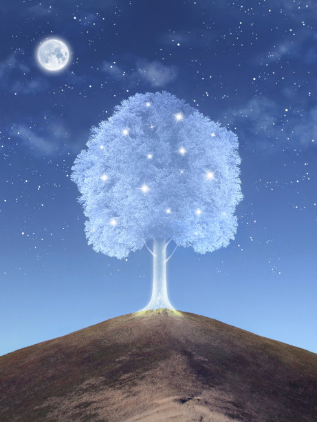 神奇的树图片下载