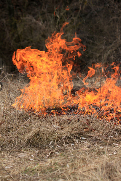 田野里有火。图片下载