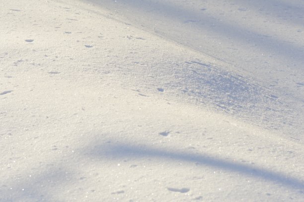冬天的雪在阳光的照射下自然的背景图片下载