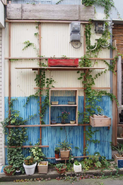 的垂直花园图片下载